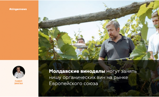 Молдавские виноделы могут занять нишу органических вин на рынке Европейского союза