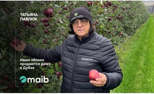 Татьяна Павлюк. Наши яблоки продаются даже в Дубае