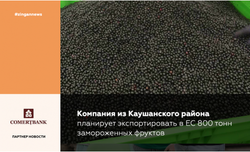 Компания из Каушанского района планирует экспортировать в ЕС 800 тонн замороженных фруктов