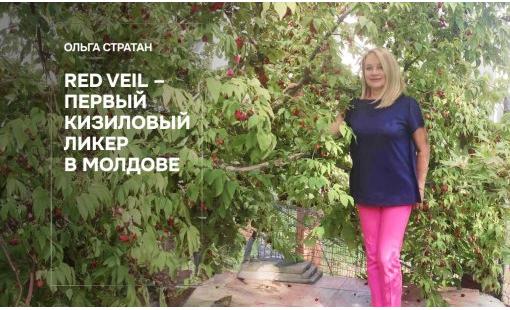 Ольга Стратан. Red Veil – первый кизиловый ликер в Молдове