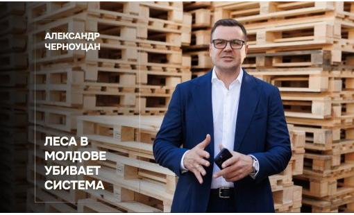 Александр Черноуцан. Леса в Молдове убивает система