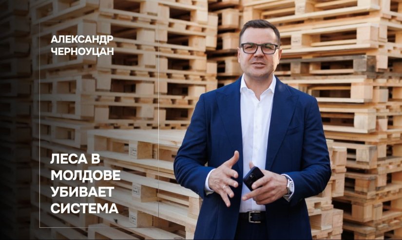 Александр Черноуцан. Леса в Молдове убивает система